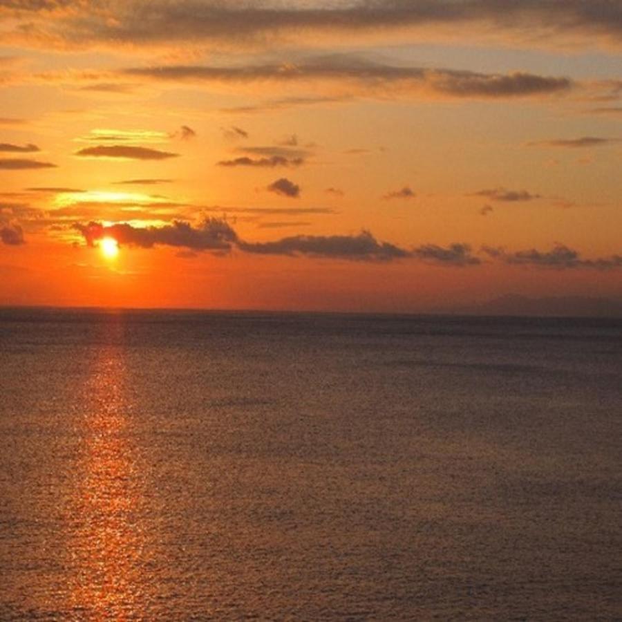 森の入り江の離れ宿 無雙庵枇杷 Izu  Buitenkant foto